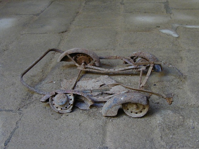 OLYMPUS DIGITAL CAMERA